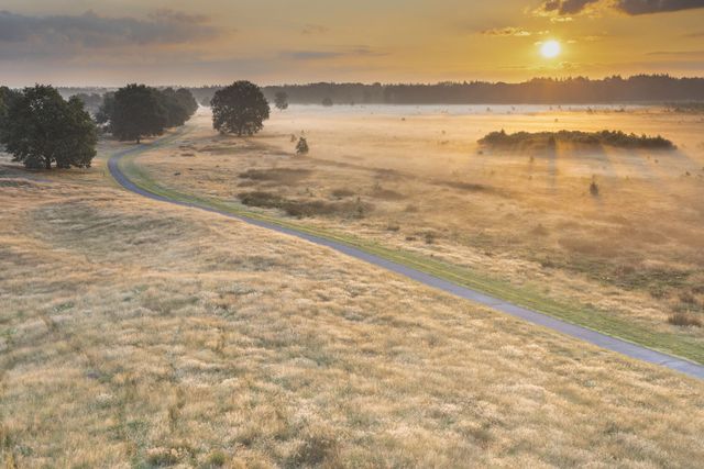 Nationaalpark Drents-Friese Wold zonsopgang wijd