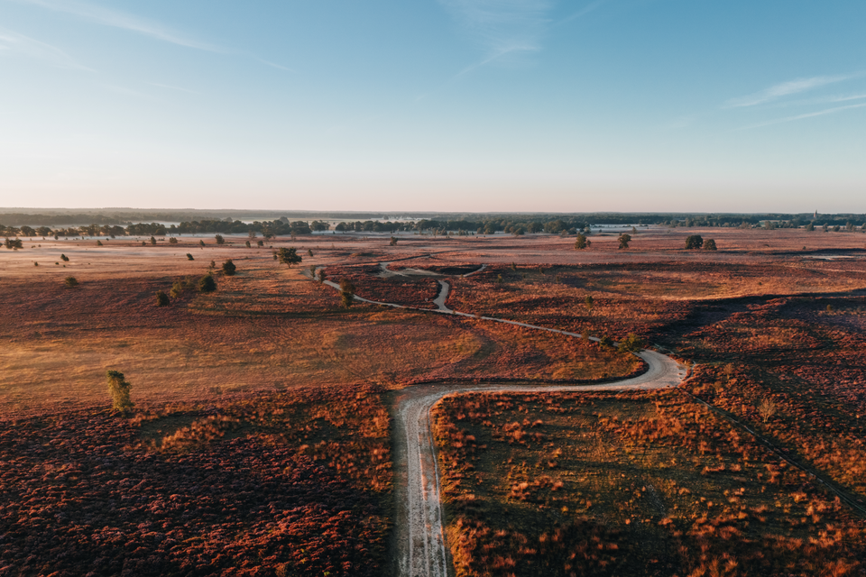 Een drone foto van paarse heide en het zandpad dat dwars door het Ballooërveld loopt.
