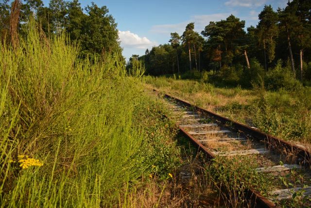 Wandeling | De Borkense baan