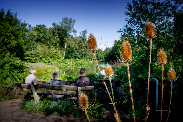 Er zitten drie mensen op een bankje in het heempark van Amstelveen