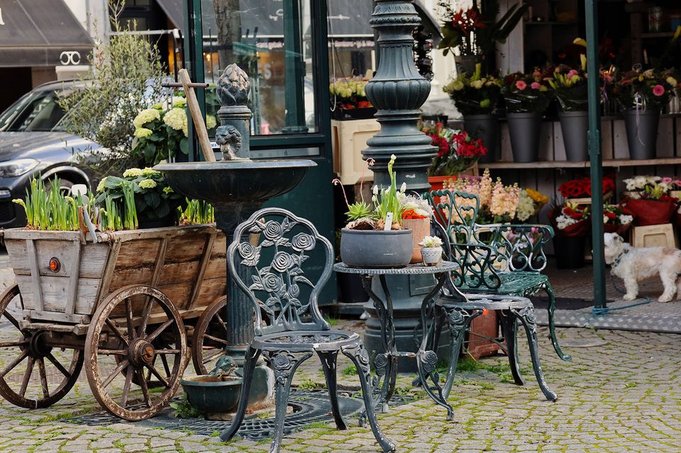 Maastricht Wyck bloemen en planten bloemenkraam