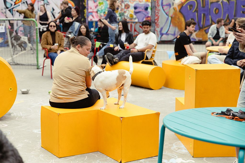 Pop-Up Hondenclub