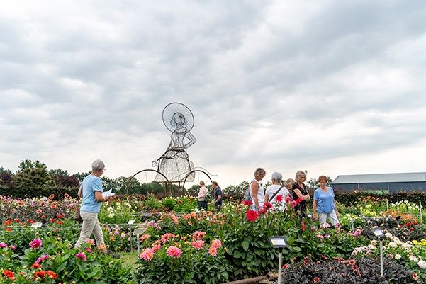 Dahliawandeltocht Zundert