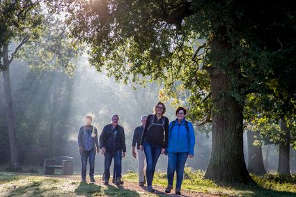 Wandelen op de Hoge Veluwe - Bezoek Ede