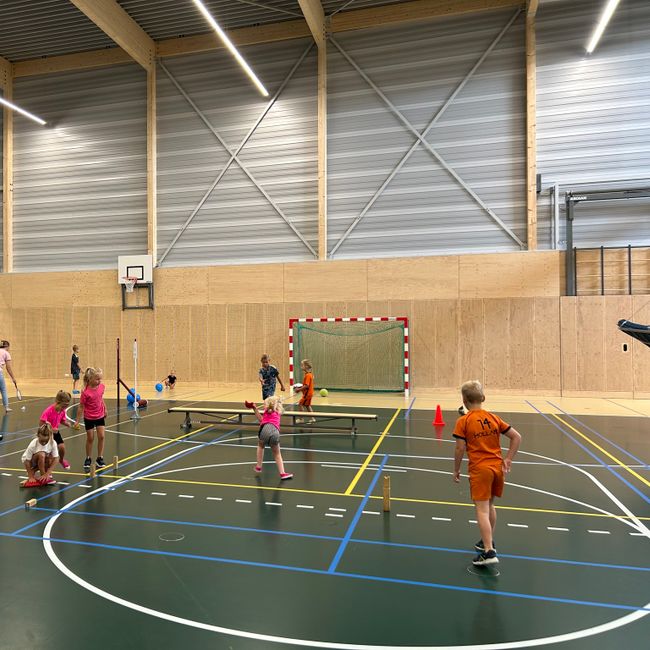 Sporten