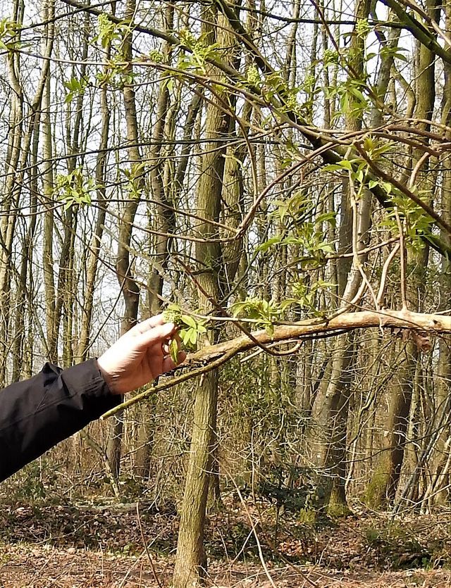 Vortrag: Bedeutung der Überwachung durch die Gemeinde Laarbeek