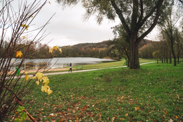 Grasweides en strand van Wylerbergmeer in de herfst