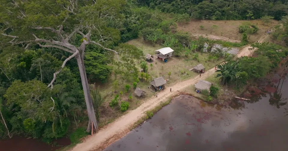 Shot van natuur uit Eat more trees