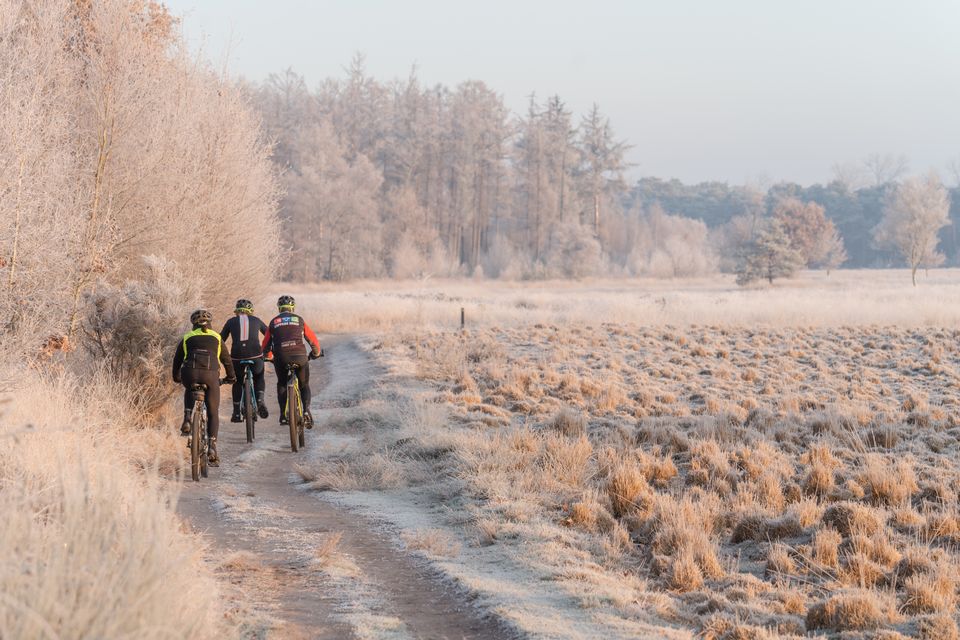 Mountainbike in De Groote Heide (winter)