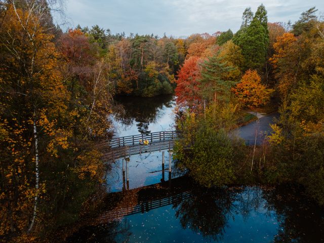 Foto van twee wandelaars op een brug in de herfst gefotografeerd van bovenaf