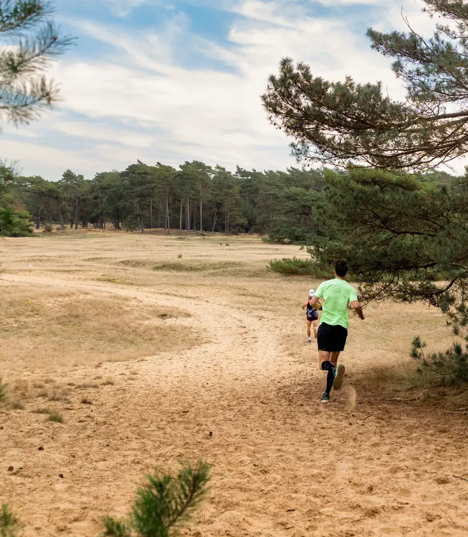 Hoge Veluwe Loop