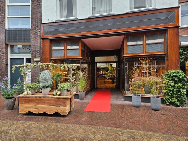 Natuurlijk Gaaf plant en meer