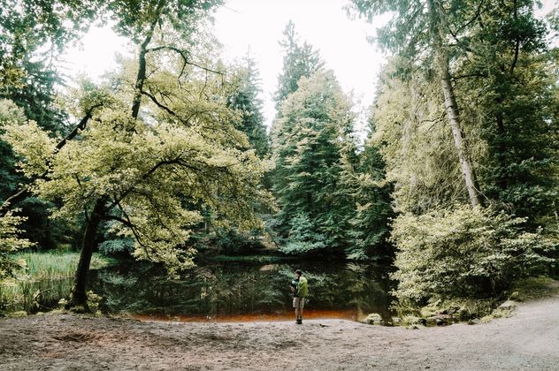 Bos met een meer in de natuur in Nederland