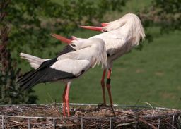 Film: Landschap zonder grenzen