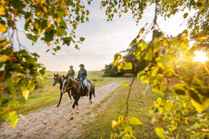 2 meiden rijden paard door het Dwingelderveld.