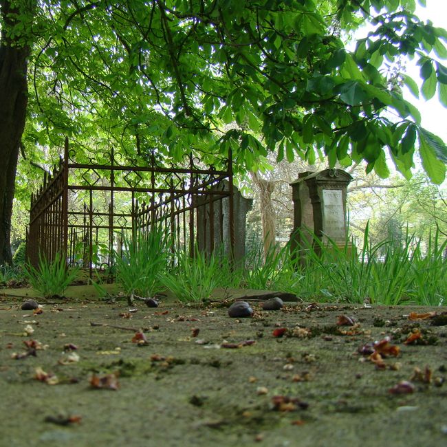 item-image