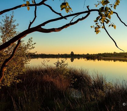 foto: Harrie Jegerings