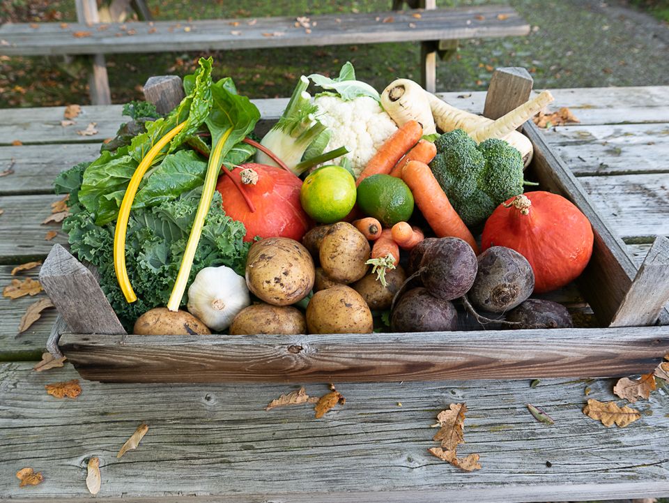 Healthy Planet Inspiratiedag