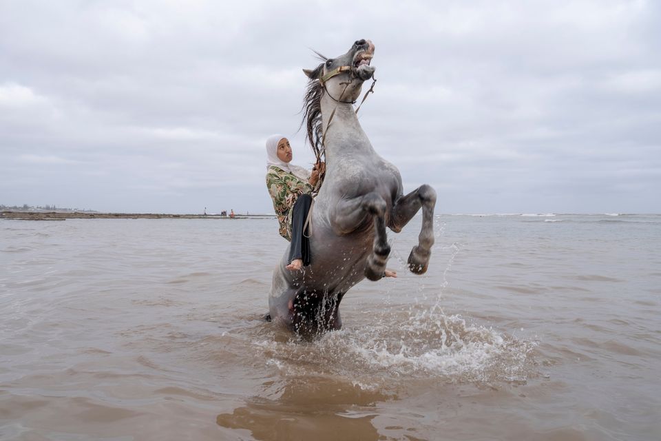 World Press Photo- Chantal Pinzi : vrouwelijke ruiter op rug van steigerend paard