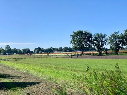 Dahliawandeltocht Zundert