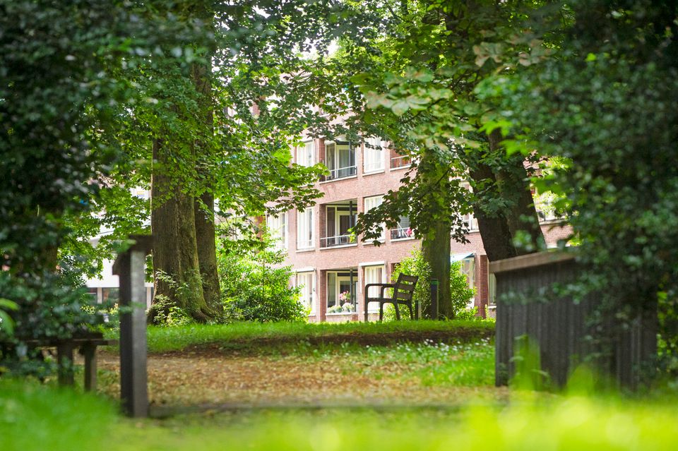Adellijke wandeling door Oentsjerk en Munein