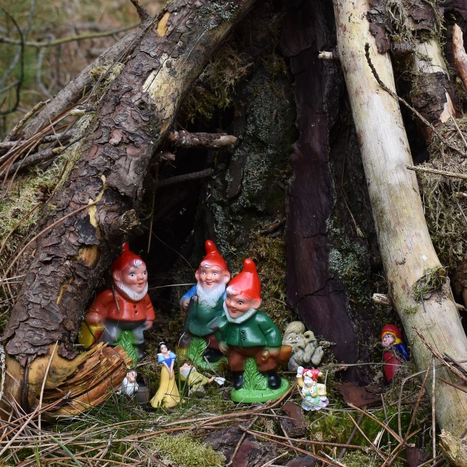 Kabouterbos Vlieland 2