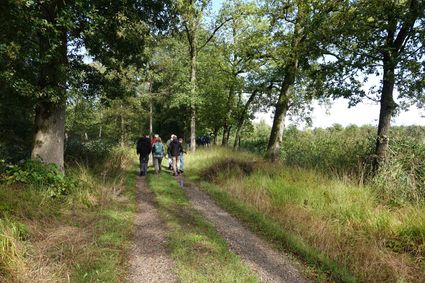 Wandelen op het landgoed