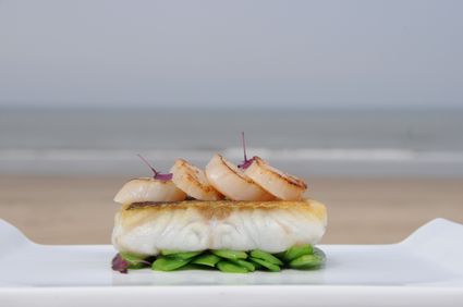 culinair genieten Noordwijk