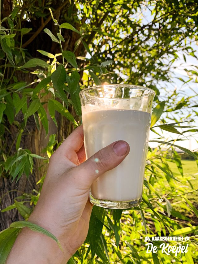 glas melk