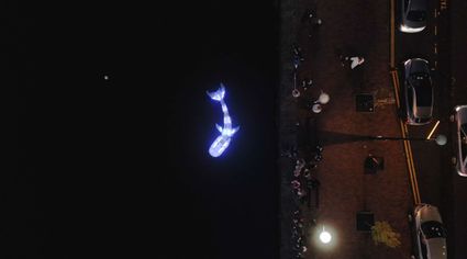 Een blauwverlichte walvis in het water bij nacht als onderdeel van een lichtvoorstelling, van bovenaf gefotografeerd.
