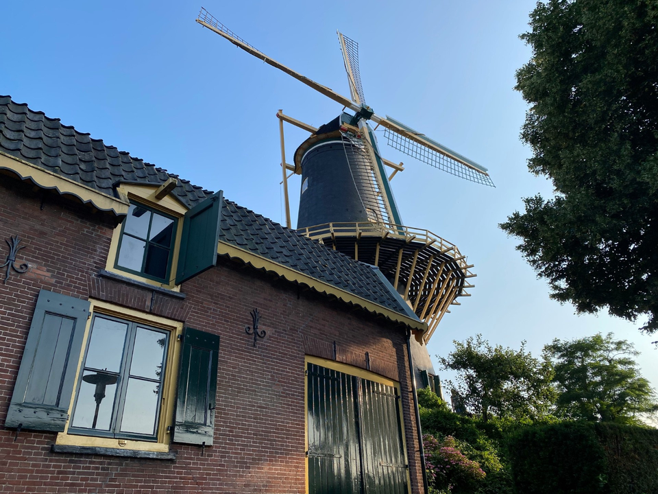 Historische windmolen in Woerden, Groene Hart, met houten wieken achter een traditioneel bakstenen molenaarshuis met groene luiken en omliggende tuin.