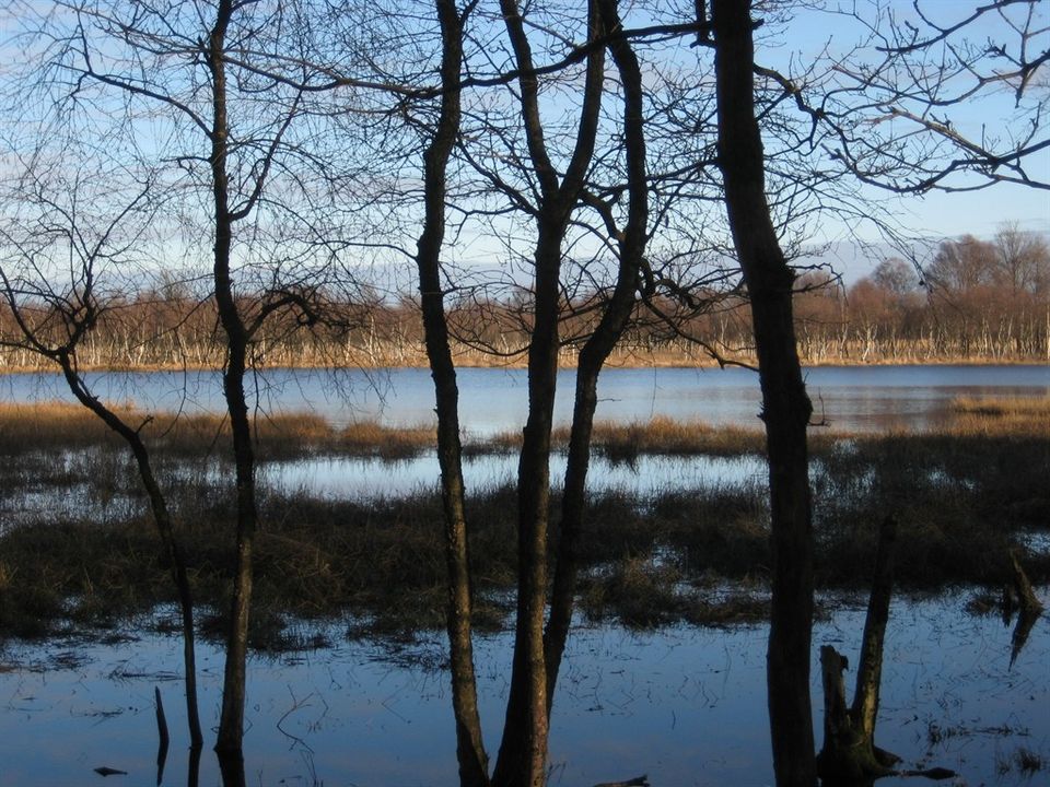 Swamp Walk Helenaveen