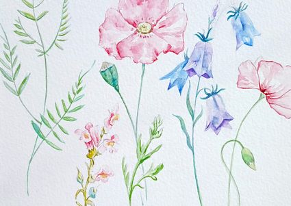 Botanisch tekenen / schilderen bij Hof van Gunterstein