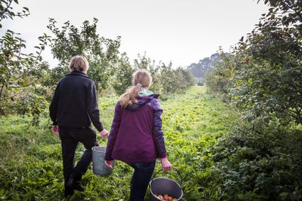 Boomgaard Hâld Moed Cidery
