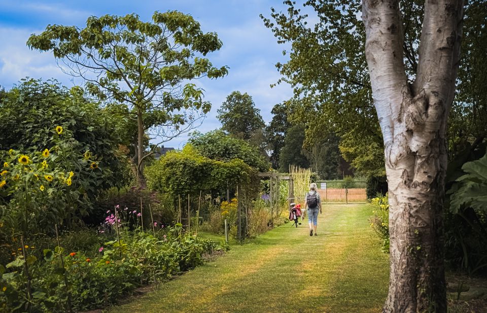 De hoofdopgang van de Kindertuinen: Een brede groenstrook omgeven door bomen en moestuintjes.