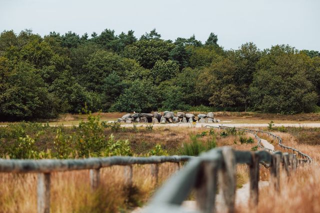 Een pad dat leidt naar een hunebed in een natuurgebied in Drenthe.