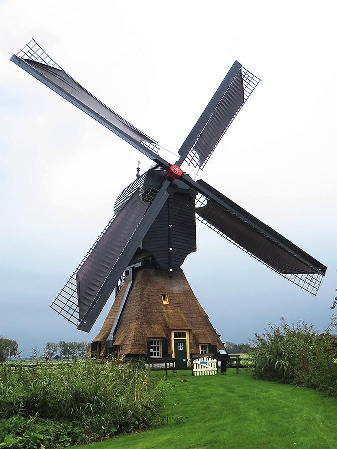 Een molen in een groen grasveld.