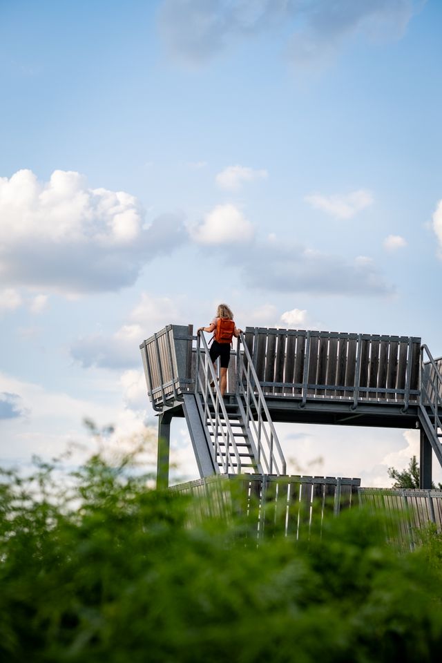 Uitkijktoren Groote Peel rode knuppelroute