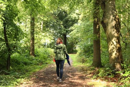 Boswandeling in Sint Nicolaasga