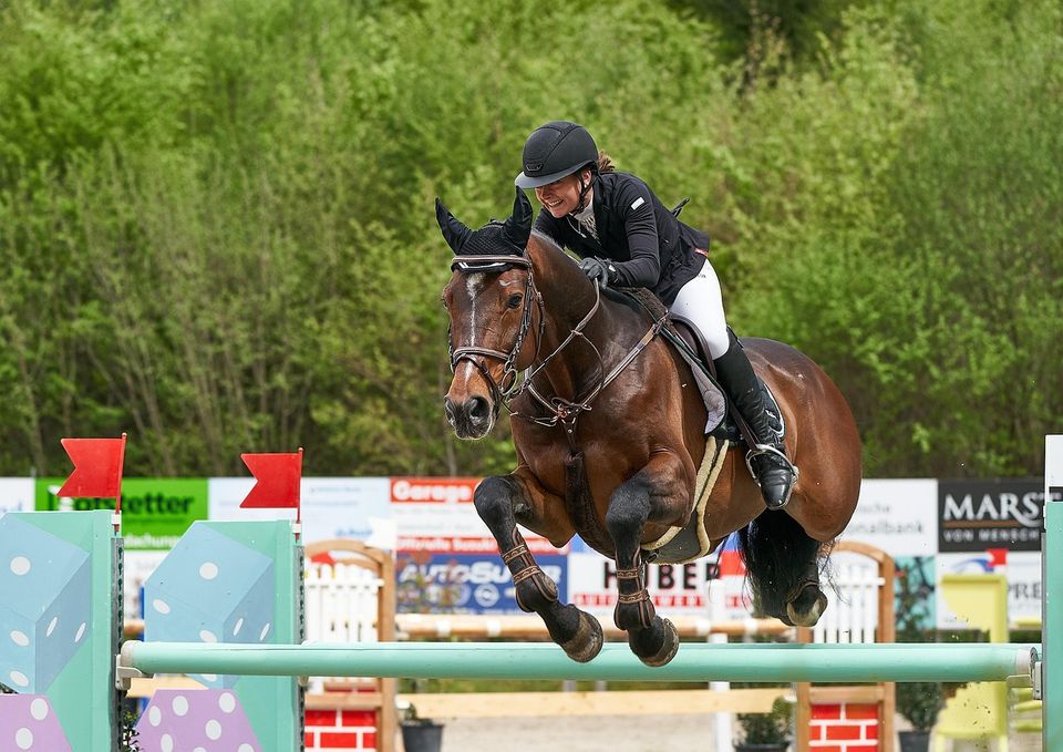 Paarden concours