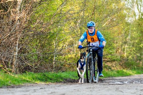 Canicross Zundert