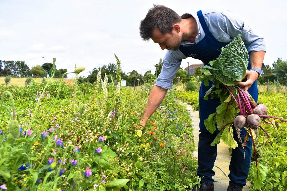 Man die door bloemenvelden loopt om ingrediënten te zoeken voor in het gerecht. In zijn hand houdt hij al een bosje rode bieten