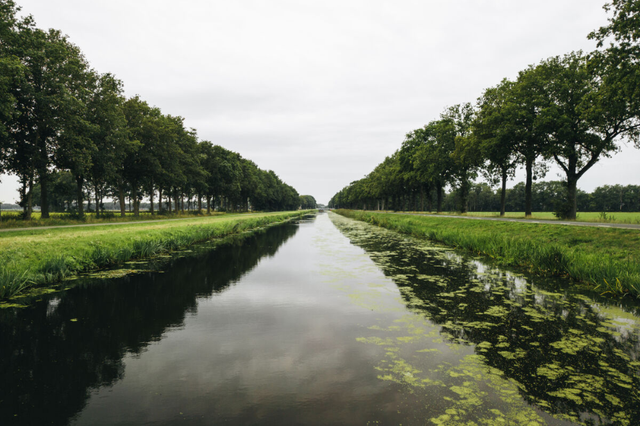 Verlengde Hoogeveensche vaart