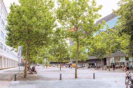 De stadhuispromenade in Almere met bomen