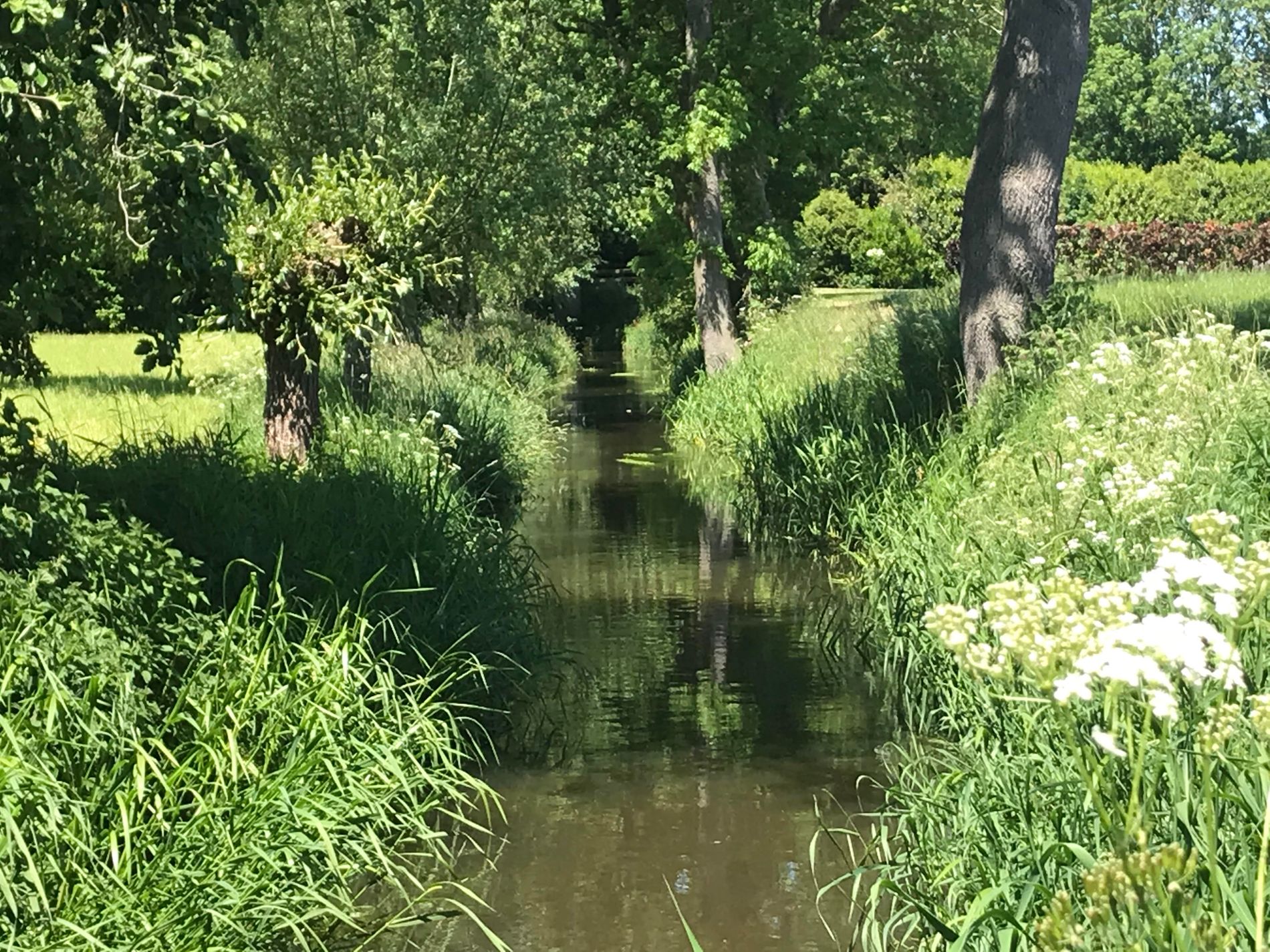 Beekje in het groen