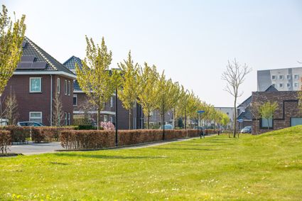 Straat in woonwijk Warande in Lelystad
