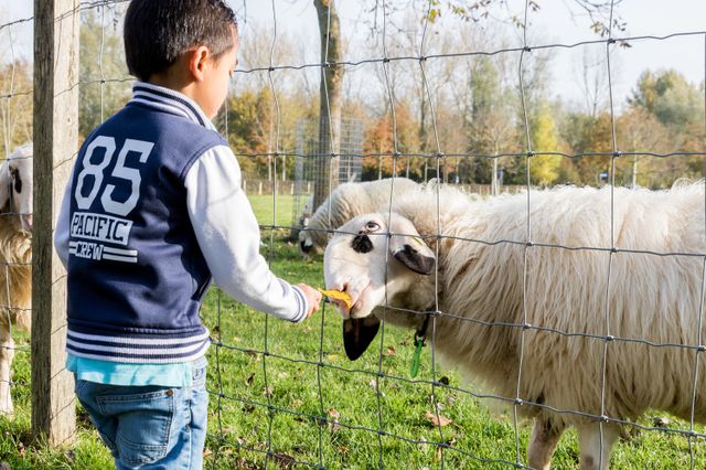 Kemphaan Almere kinderen