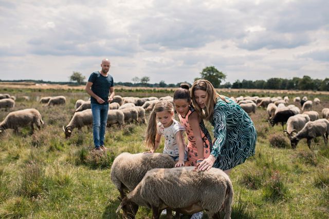 Twee meiden en hun moeder aaien de schapen die ze tijdens de wandeling met het gezin tegen komen.