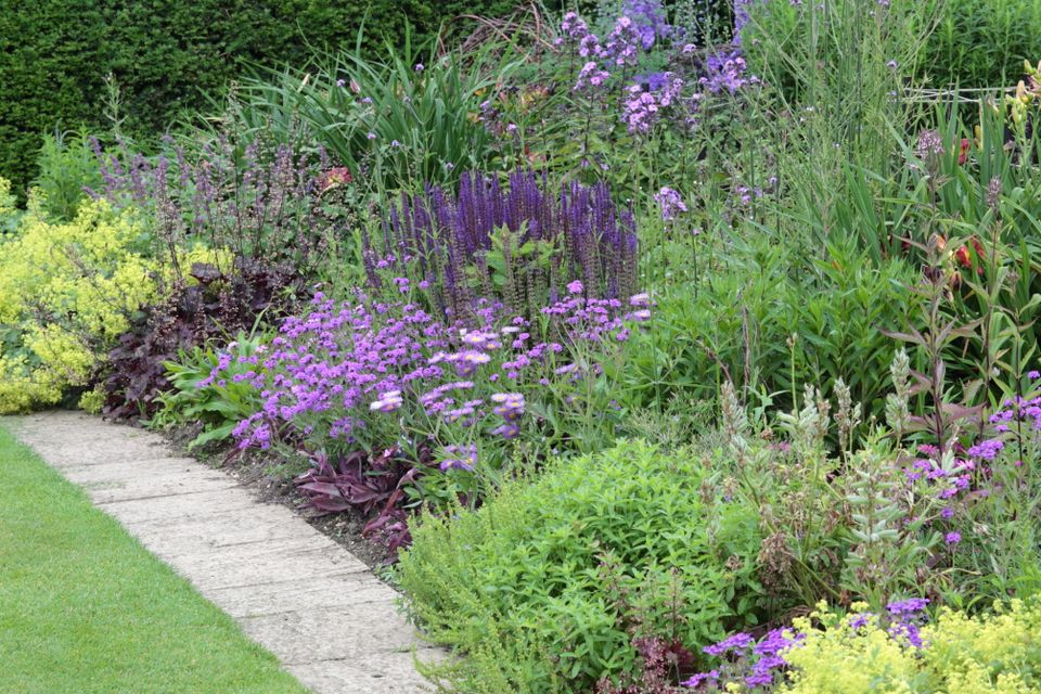 Tuinworkshop |  Seizoensborder
