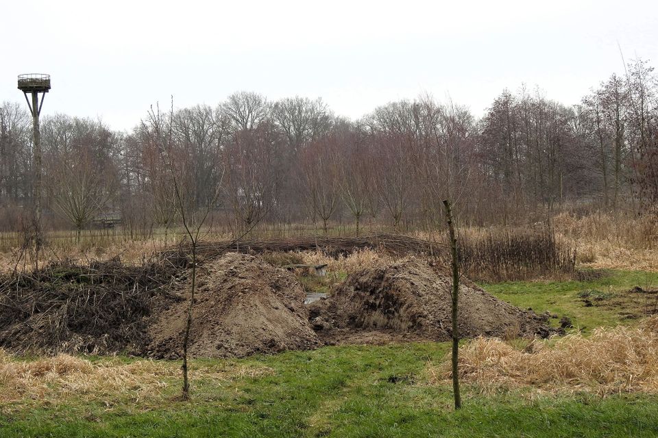 Wandeling door IVN Natuurtuin De Bimd